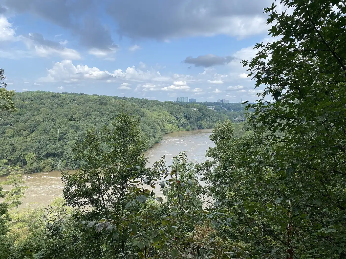 The Chattahoochee River seen from a wooded overlook