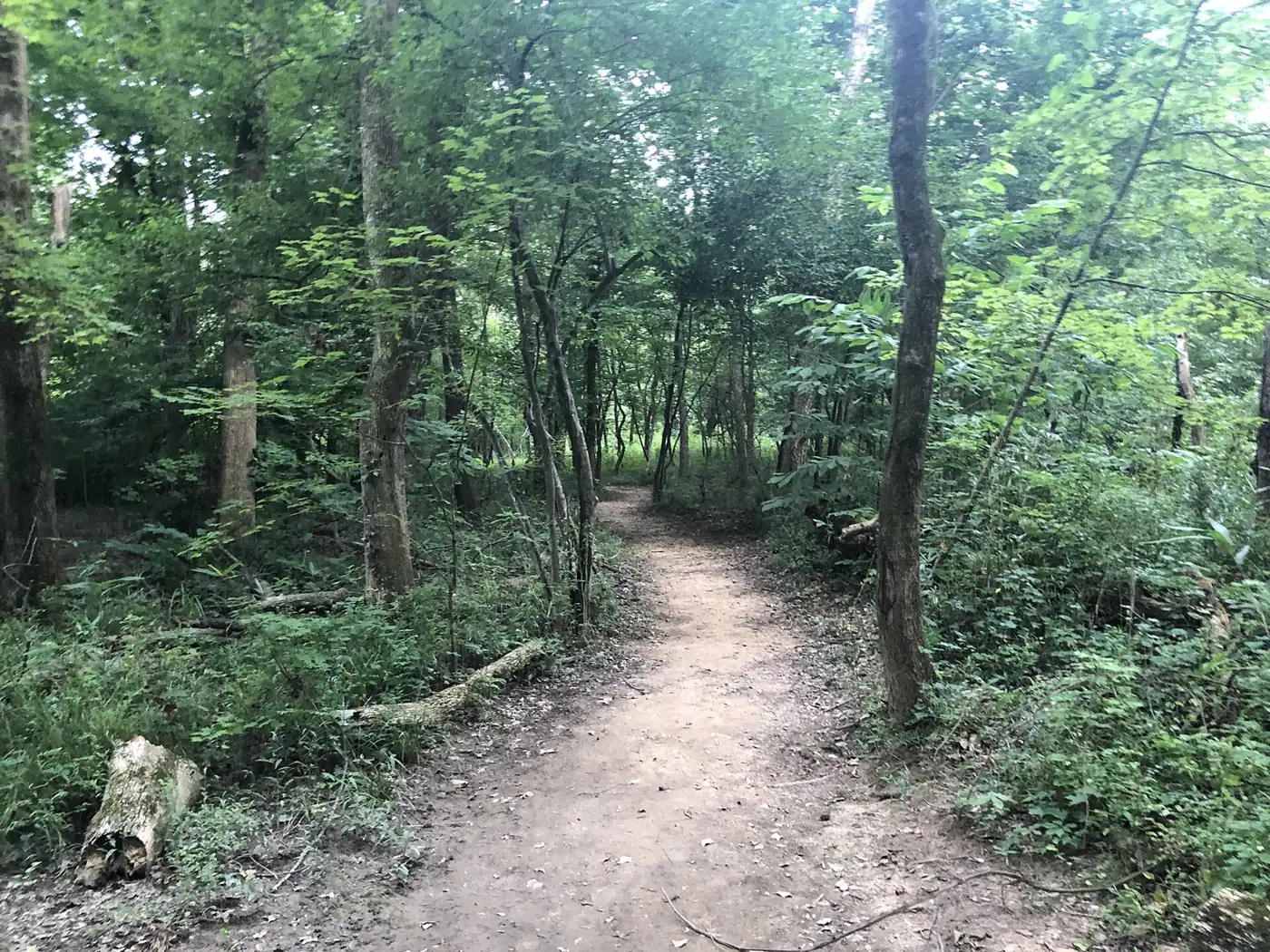 The woodland loop trail at Crooked Creek Park in Sandy Springs