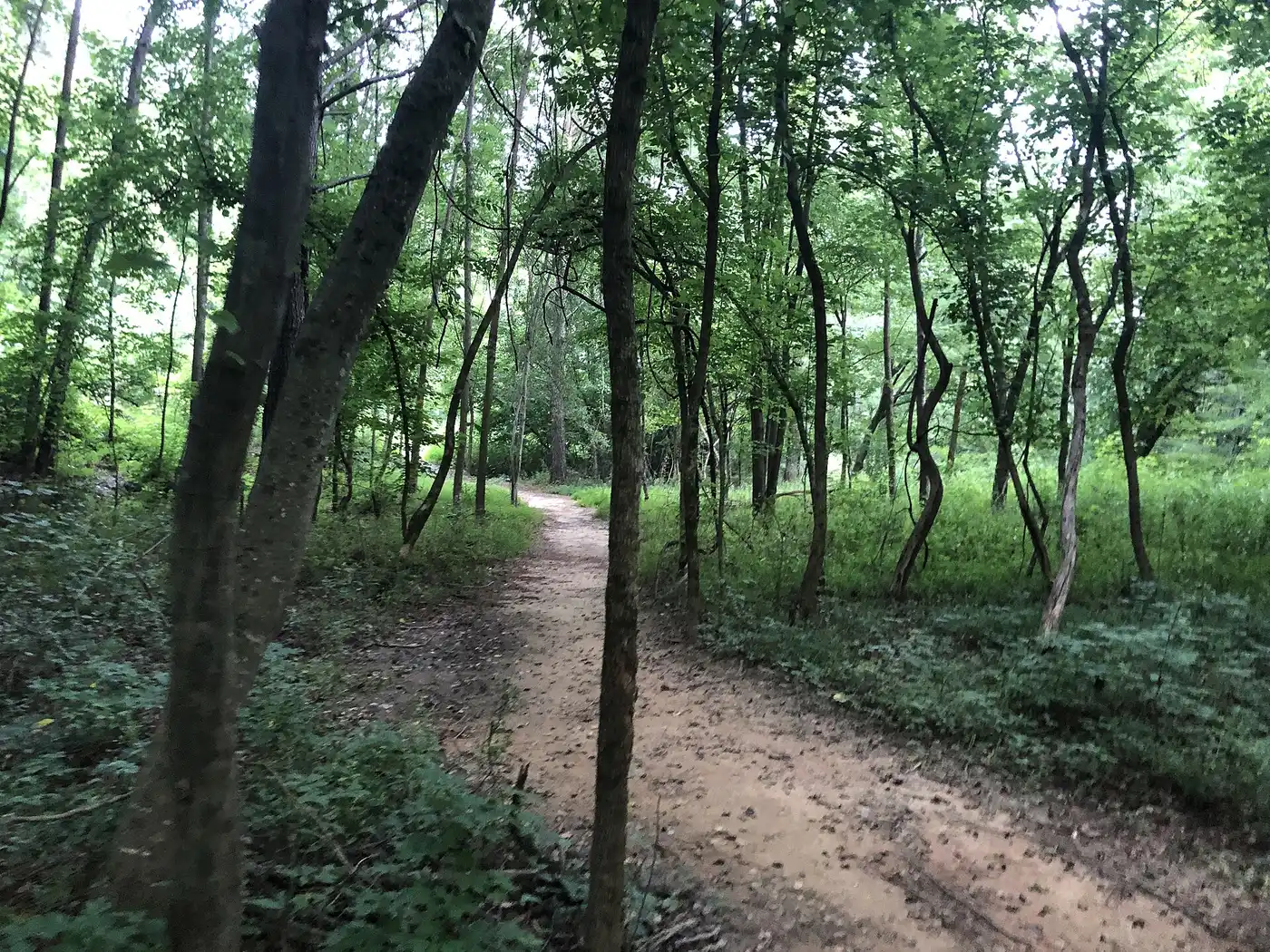 The walking trail at Crooked Creek Park in Sandy Springs