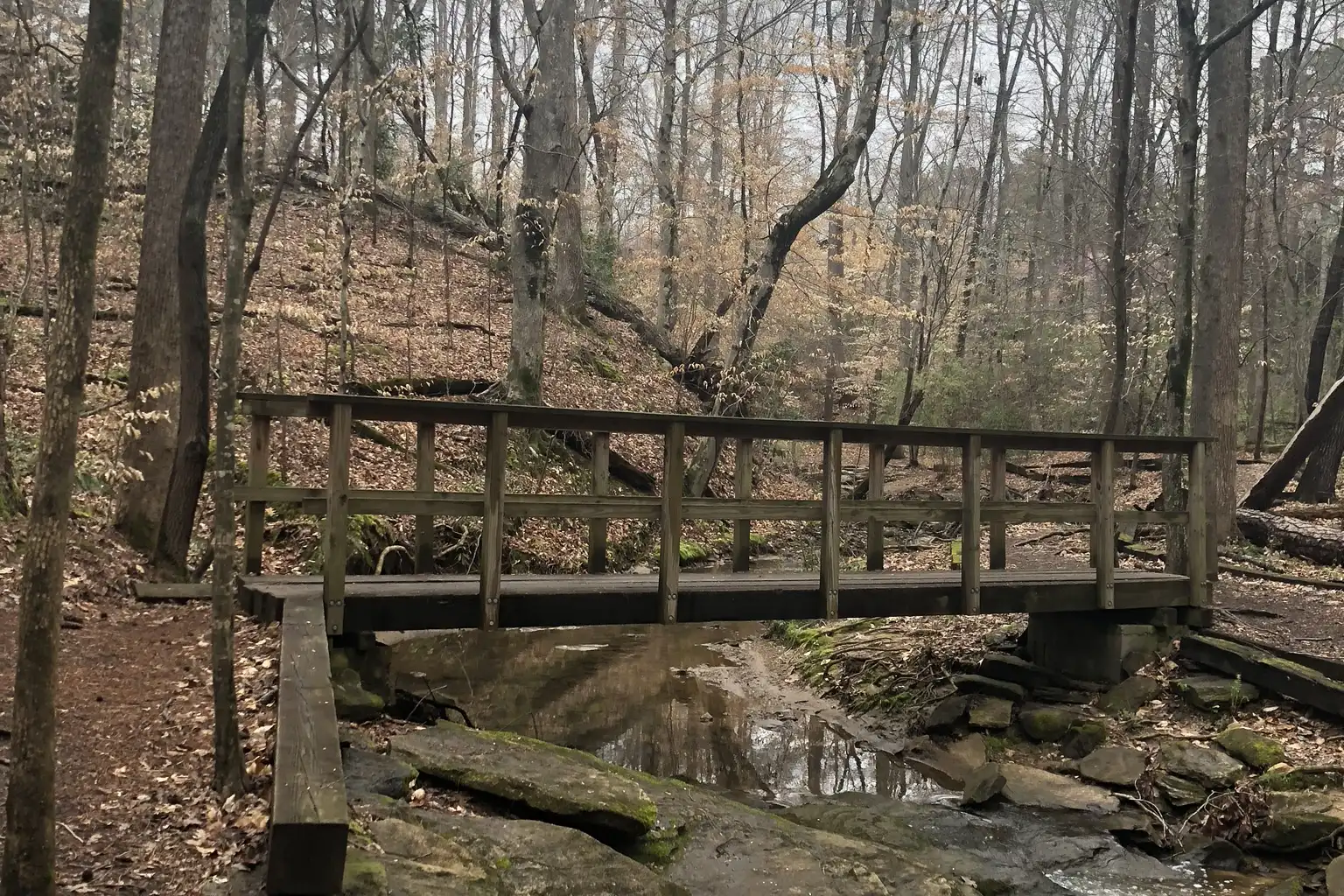 A footbridge in the Big Trees Forest Preserve in north Sandy Springs