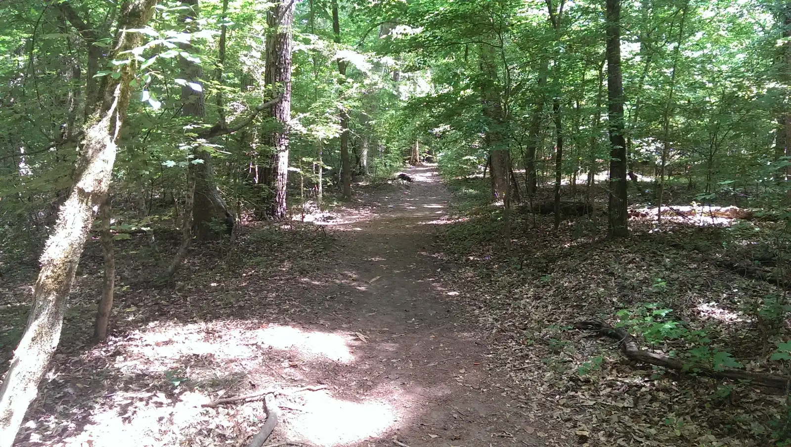 A trail in the Island Ford unit of the Chattahoochee River National Recreation Area in Sandy Springs
